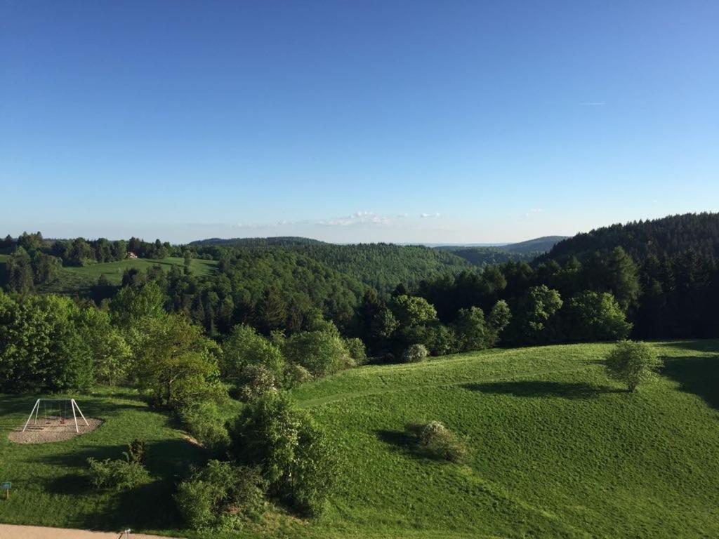 Ferienwohnung Weitblick 274 Hohegeiß 외부 사진